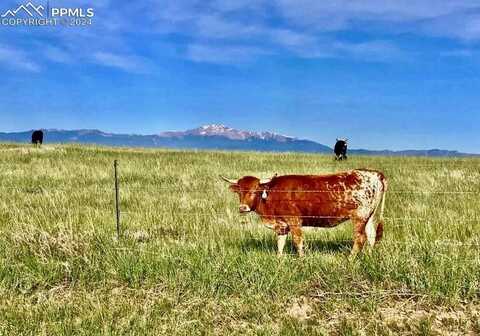 9540 N Log Road, Calhan, CO 80808