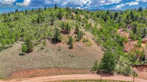 348 Granite Lane, Cripple Creek, CO 80813