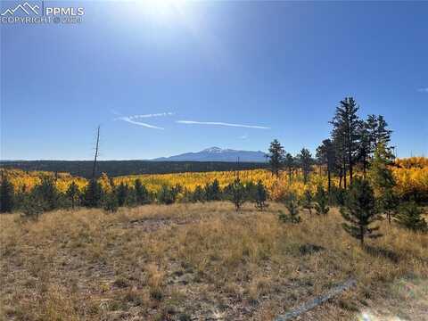 Unit 4 County Road 51, Florissant, CO 80816