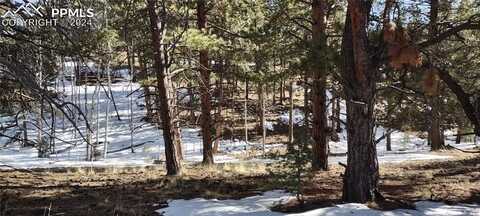 54 Garnet Way, Florissant, CO 80816