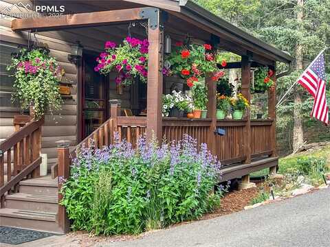 143 Wahsatch Road, Florissant, CO 80816