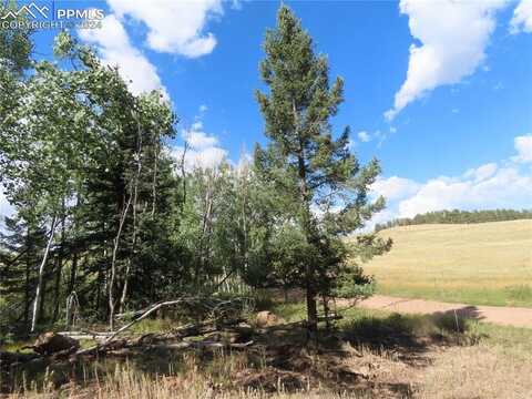 471 Horseshoe Trail, Florissant, CO 80816