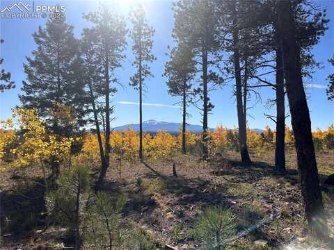 Unit 3 County Road 51, Florissant, CO 80816