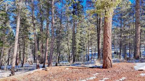 28 Deer Circle, Florissant, CO 80816