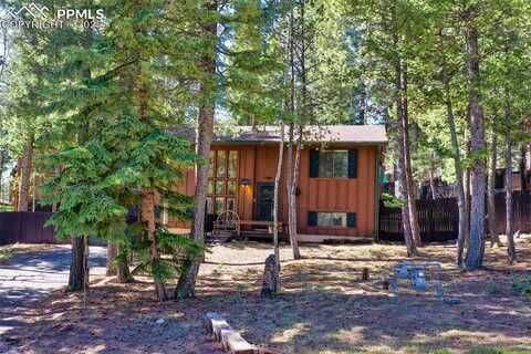 1321 W Midland Avenue, Woodland Park, CO 80863