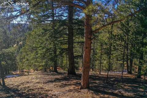 507 HORSESHOE Drive, Divide, CO 80814