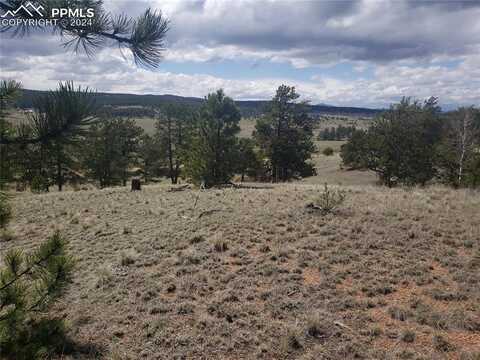 1938 S Mountain Estates Road, Florissant, CO 80816