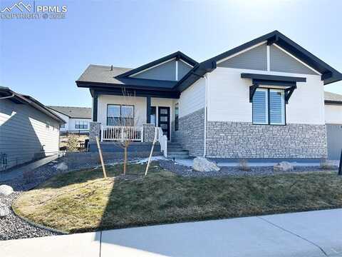 5492 Woodroot Point, Castle Rock, CO 80104