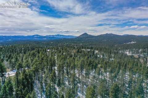 111 Elk Creek Drive, Divide, CO 80814