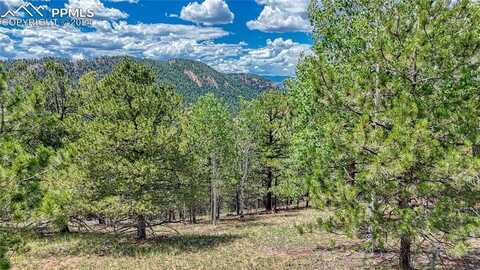24 Wild Horse Circle, Cripple Creek, CO 80813