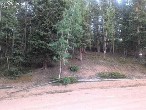 358 Pawutsy Road, Florissant, CO 80816