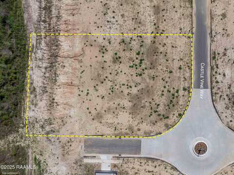 101 Castle Vine Way, Lafayette, LA 70508