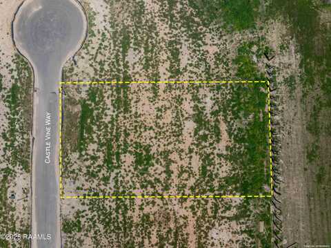 304 Castle Vine Way, Lafayette, LA 70508