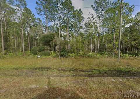 County Road 315, Interlachen, FL 32148