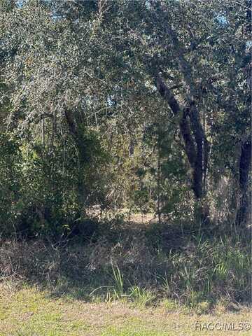 7 Sweetbay Court, Homosassa, FL 34446
