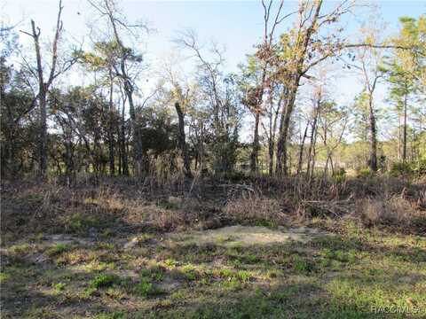 1255 W Nankeen Drive, Dunnellon, FL 34434