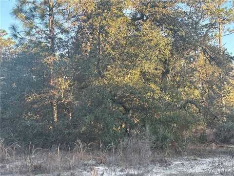 00 SW Gardenia Court, Dunnellon, FL 34431