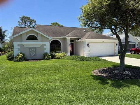 7360 Clearmeadow Drive, Spring Hill, FL 34606