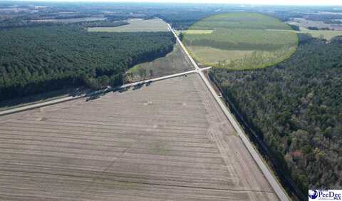TBD W Highway 34 & Dothan Road, Dillon, SC 29536