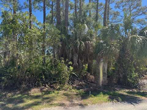 Lot 11 S Palm St, Cape San Blas, FL 32456