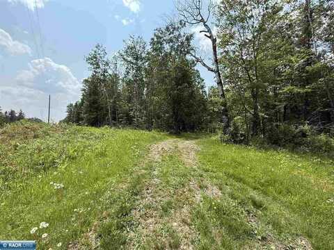 TBD Samuelson Road-Sec22, Angora, MN 55703