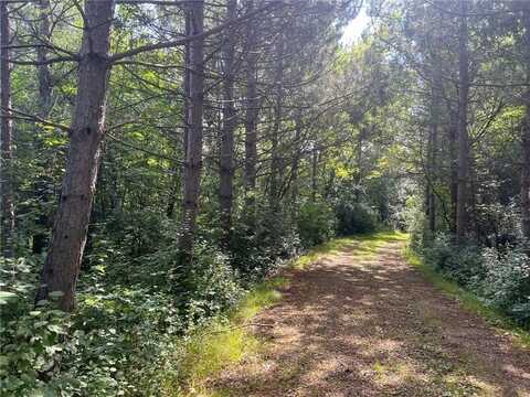 Tbd Polk Street NW, Elk River, MN 55330