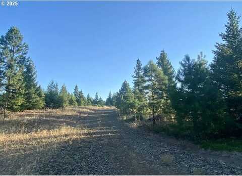 7 Black Butte, Goldendale, WA 98620