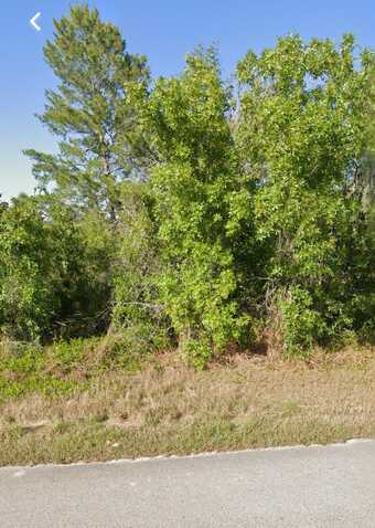 110 Devoe Avenue, Lake Placid, FL 33852
