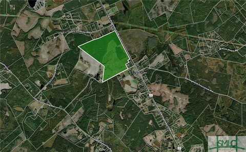 0 Hwy 17 Highway, Guyton, GA 31312