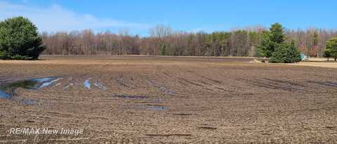 14000 W Burt, Chesaning, MI 48616