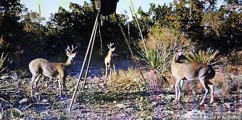 Lot 62a New Leona Ranch, Brackettville, TX 78832