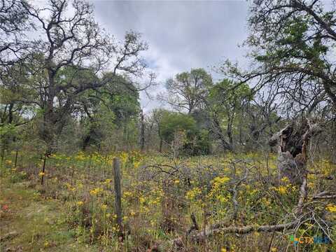 1247 Vivroux Ranch Road, Seguin, TX 78155