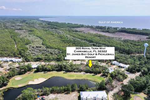 305 Royal Tern Way, Carrabelle, FL 32322