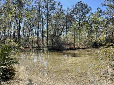 6224 SW 92nd Dr., Jasper, FL 32052
