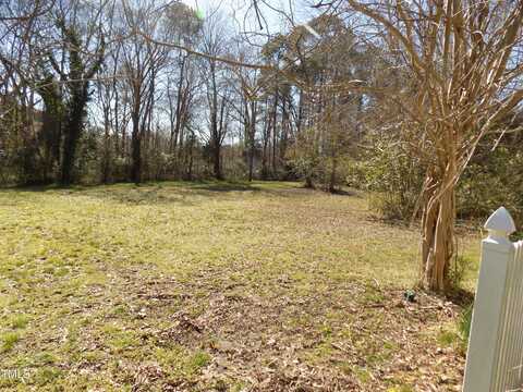 303 King Street, Louisburg, NC 27549