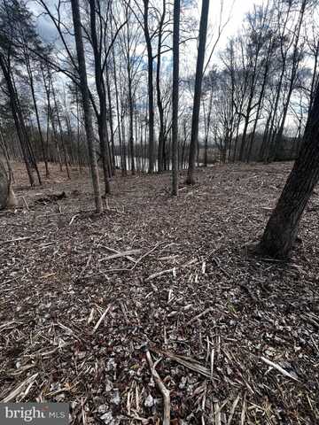 Lot 56 COMPASS COVE, MINERAL, VA 23117