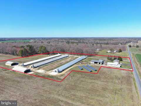 14564 BLANCHARD ROAD, BRIDGEVILLE, DE 19933
