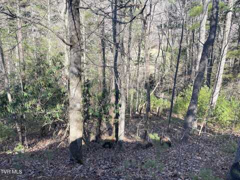 0 York Cabin/Heidi Hill Ln Road, Butler, TN 37640