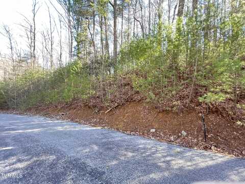 0 York Cabin/Heidi Hill Ln Road, Butler, TN 37640