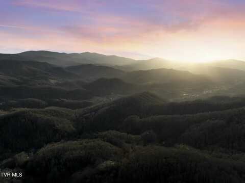 Tbd Buck Mountain Road, Roan Mountain, TN 37687