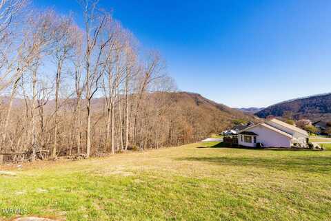 0 Moccasin Hills Drive, Gate City, VA 24251