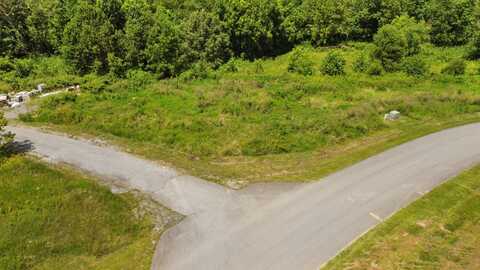 Tbd Creekside Court, Bristol, VA 24202