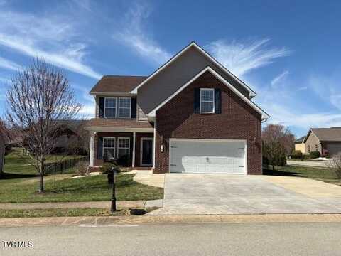 16 Coy Court, Johnson City, TN 37615