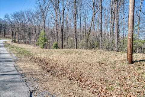 Lot 734 Renegade Pkwy, CRAB ORCHARD, TN 37723