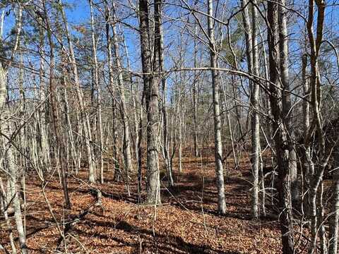Lot 4 Cumberland Lakes Dr., MONTEREY, TN 38574