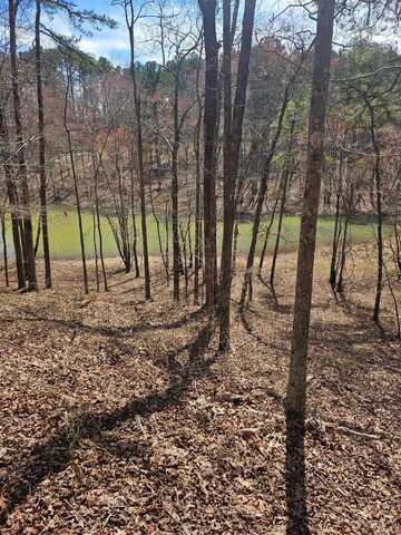 LOT 61 SHORESIDE AT SIPSEY, Houston, AL 35572