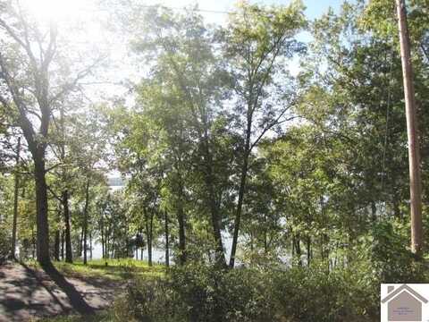 00 Parkersville Rd, Eddyville, KY 42038
