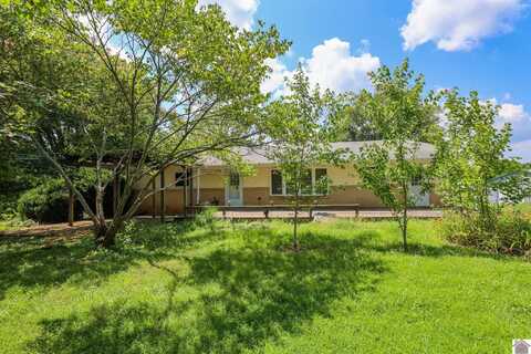 15 Livingston Rd, Gilbertsville, KY 42044