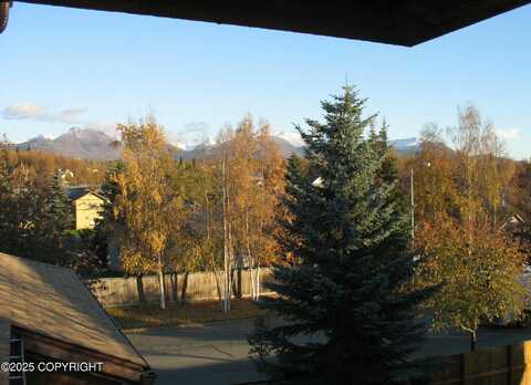 9740 Vanguard Drive, Anchorage, AK 99507