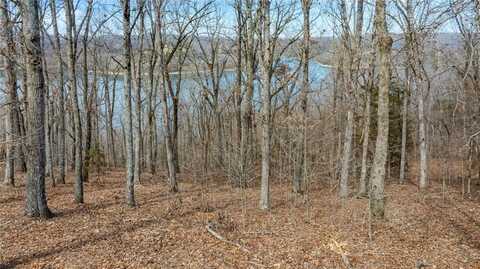 TBD Co Rd 1520, Eureka Springs, AR 72632